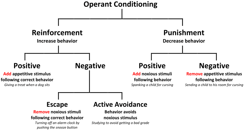 Components of process motivation theories, Control Learning and Human Potential – Psychology