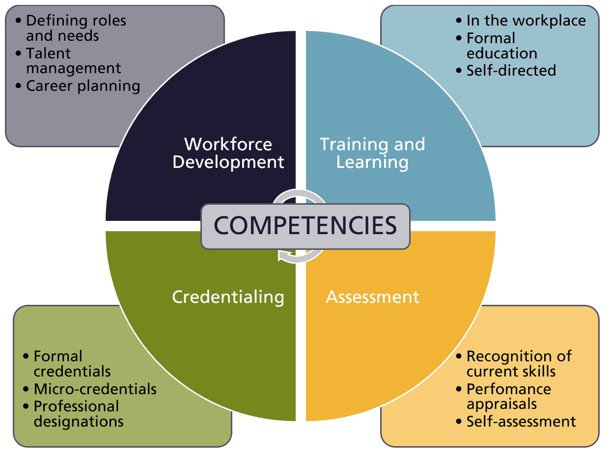 Components of talent development, Uses for competency frameworks – eCampusOntario Open Competency Toolkit