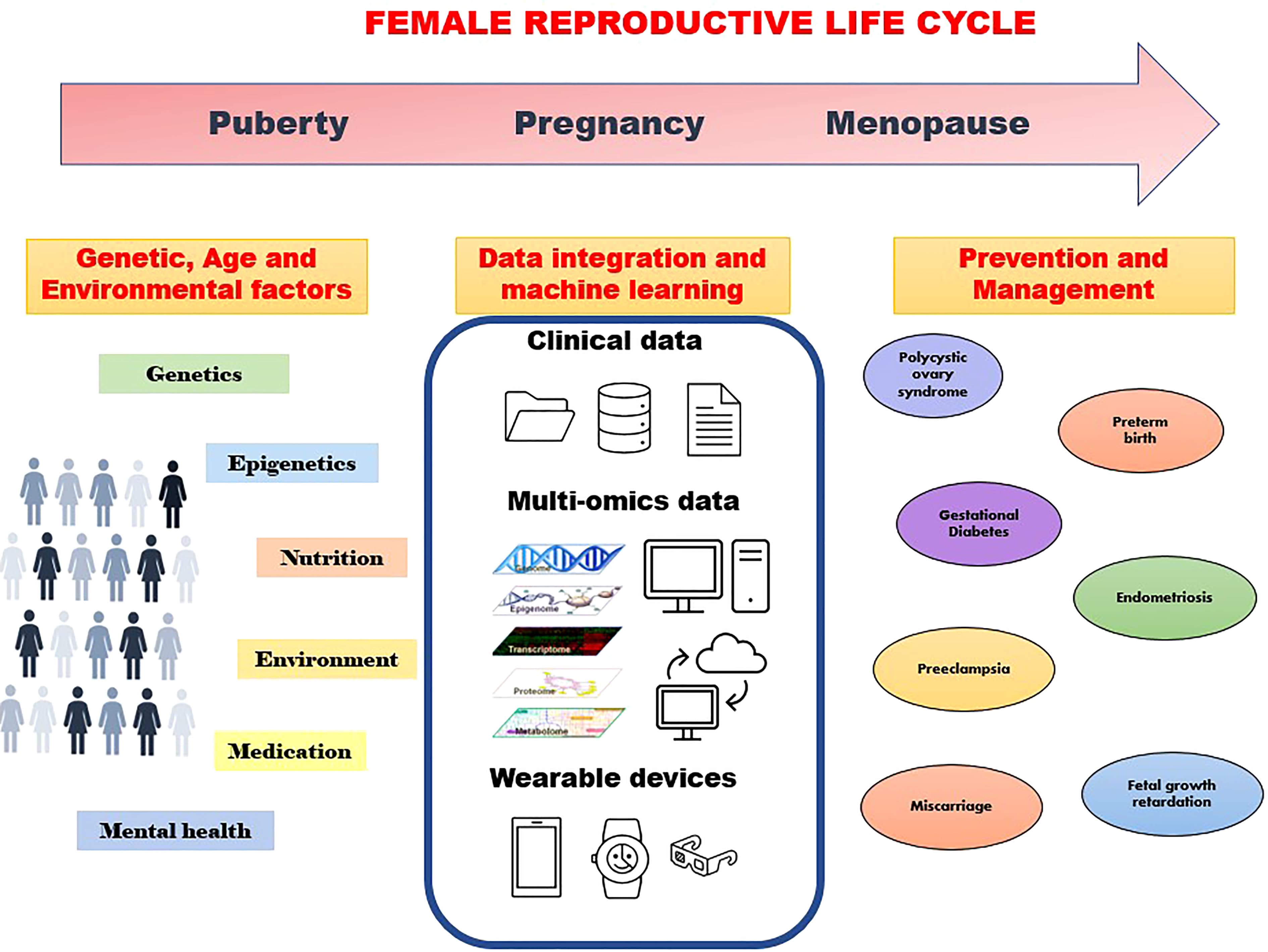 Comprehensive Approach to Reproductive Health, Frontiers | Multi-omics and machine learning for the prevention and management of female ...