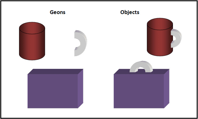 Compression of form, Cognitive neuroscience of visual object recognition - Wikipedia