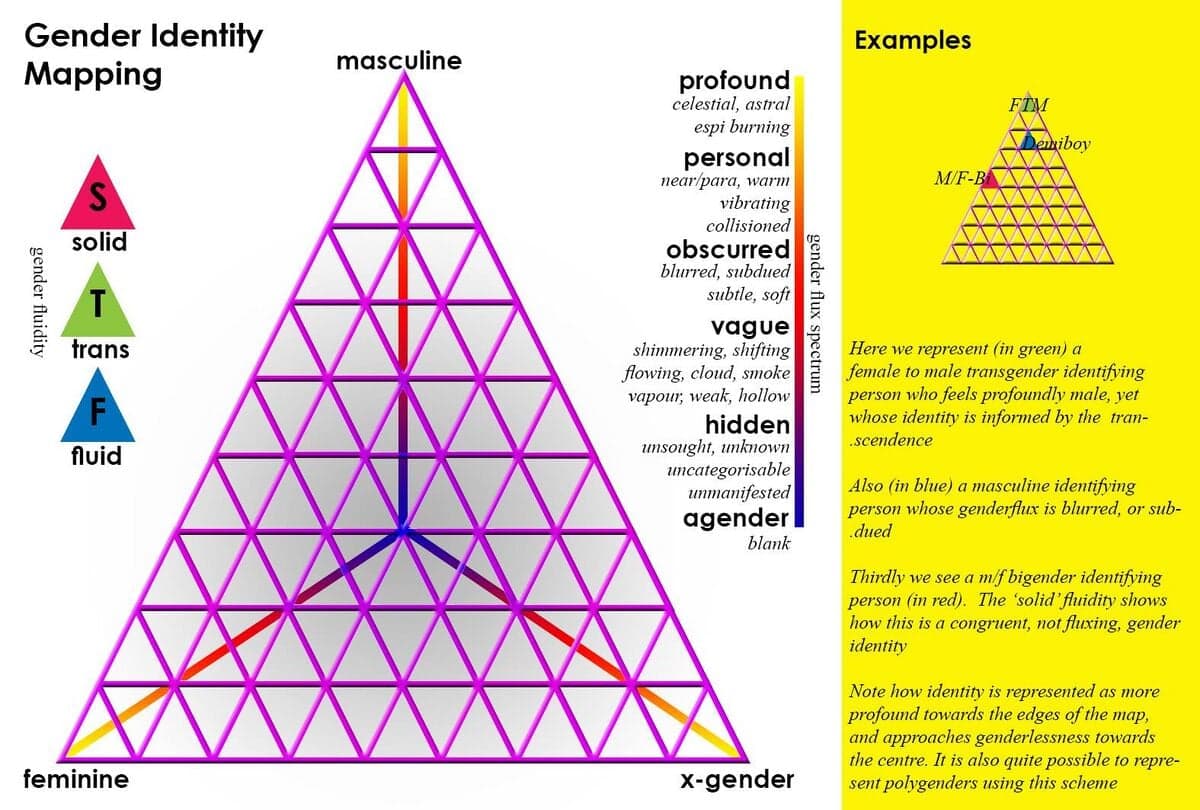 Concept of gender binary, Gender spectrum - Nonbinary Wiki