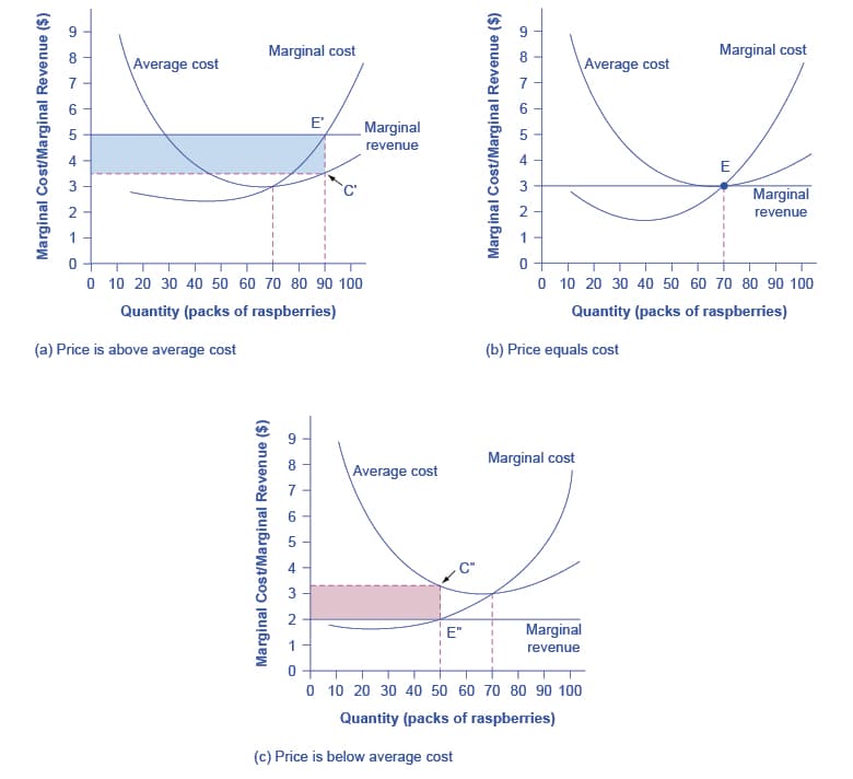 Conditions for profit maximization, How Perfectly Competitive Firms Make Output Decisions · Economics