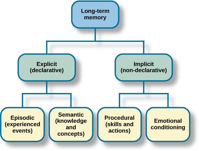 Conscious vs unconscious attitudes, Storage – General Psychology