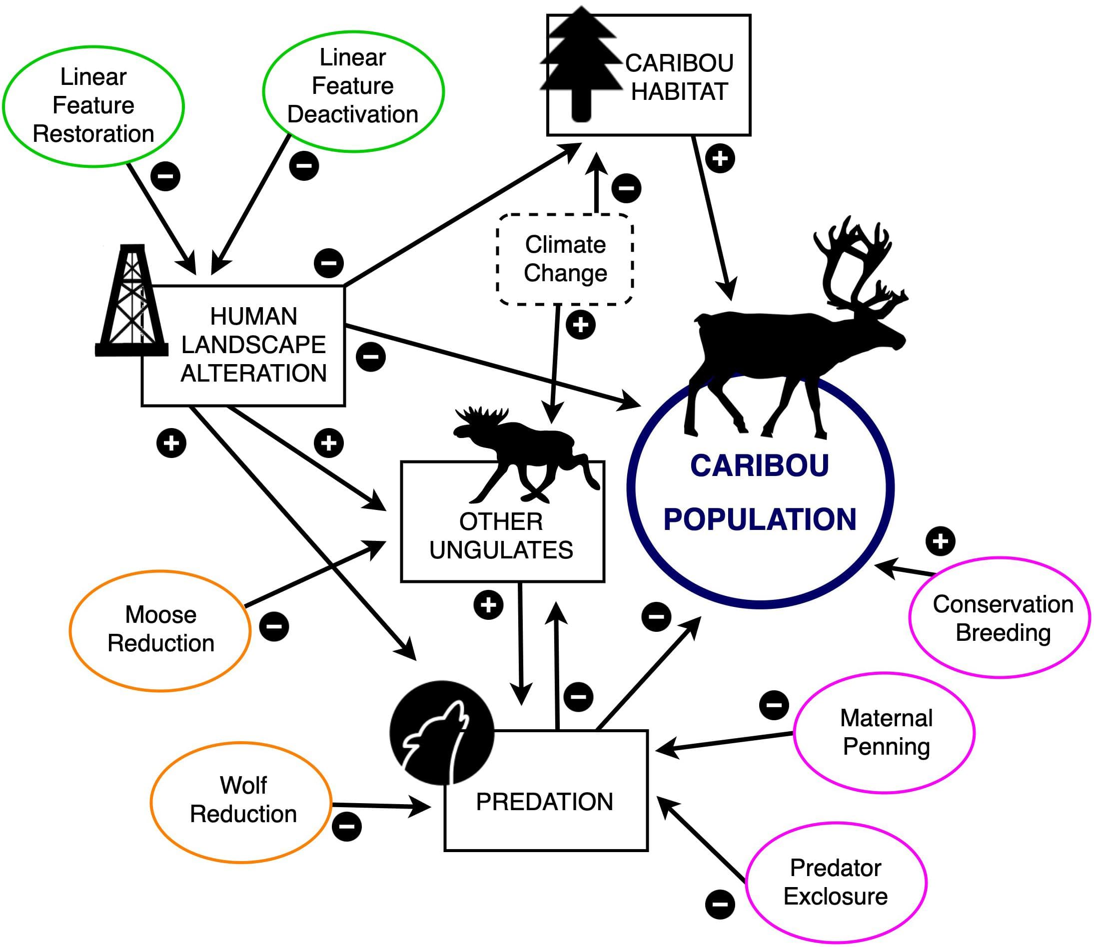 Conservation strategies from evolutionary principles, Frontiers | ‘WildLift’: An Open-Source Tool to Guide Decisions for Wildlife Conservation