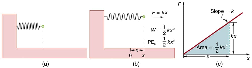 Conservative vs non-conservative forces, Conservative Forces and Potential Energy | Physics