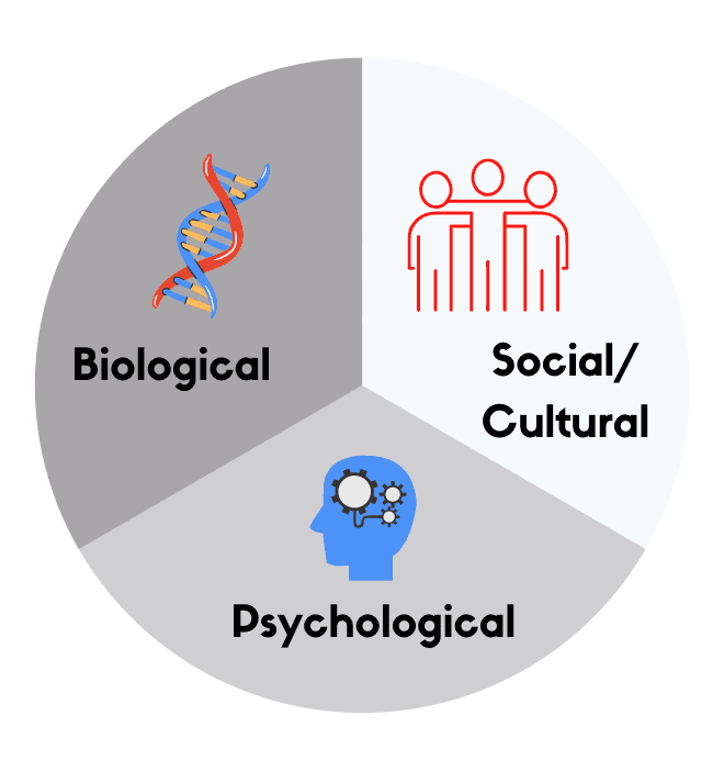 Contemporary perspectives on mental disorders, Multidimensional Approaches to Understanding Mental Illness | Abnormal Psychology
