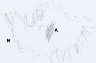 Controlled vs uncontrolled, Frontiers | Reconsidering the scribbling stage of drawing: a new perspective on toddlers ...