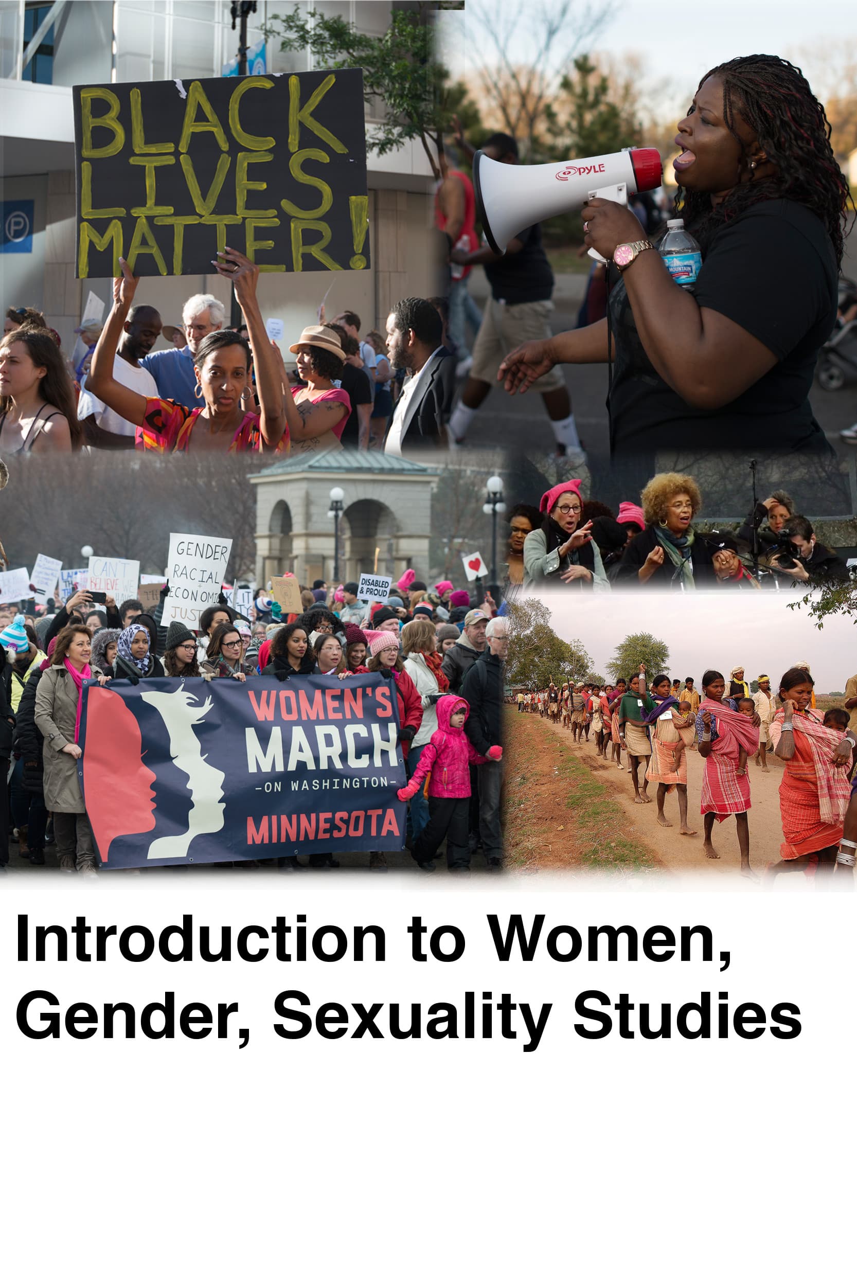 Core concepts of feminist literary theory, Introduction to Women, Gender, Sexuality Studies – Simple Book Publishing