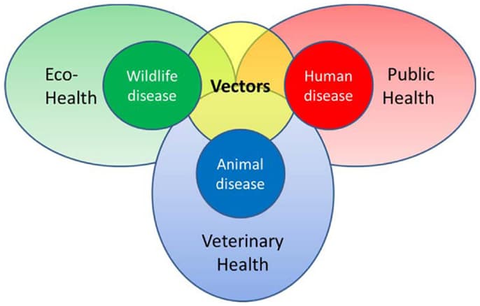 Core Disciplines and Their Roles, Frontiers | Vector-Borne Disease Intelligence: Strategies to Deal with Disease Burden and ...