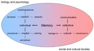 Core functions of memory, Memory - Wikipedia, the free encyclopedia
