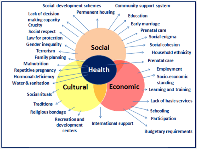 Core Rights Protected by ICESCR, Major Issues Related to Women Health, Social, Cultural and Economic Development
