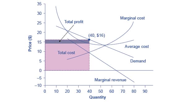 Concept and Importance, 12.14: Profit Maximization under Monopolistic Competition - Business LibreTexts