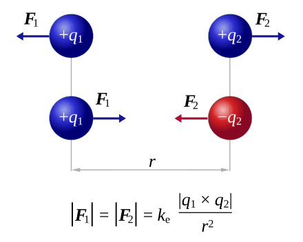 Fundamentals of Electrostatic Force, Interazioni fondamentali - Wikipedia
