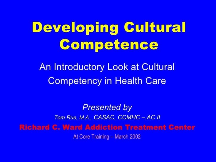 Understanding cultural competence, Cultural Competence in Healthcare (Rue, 2002)
