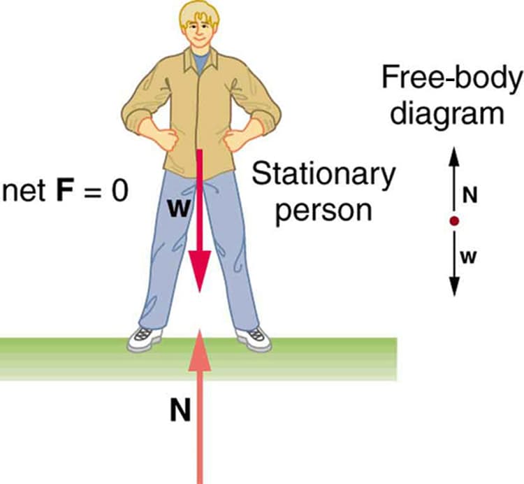 Definition and concept, The First Condition for Equilibrium · Physics