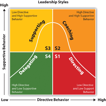 Defining Leadership in Small Groups, 4 Situational Leadership Styles