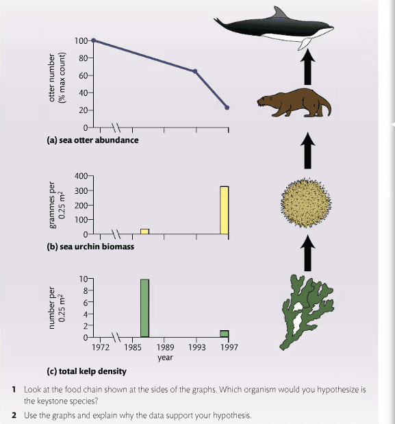 Definition of keystone species, homework - Based on this diagram, how do you deduce the keystone species? - Biology Stack Exchange