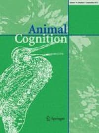Definition of multimodal communication, Multimodal interactions in insect navigation | Animal Cognition