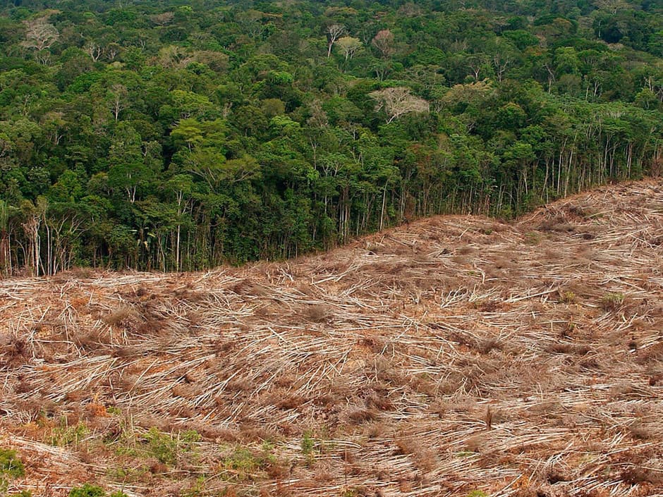 Deforestation and land conversion, HBLDeforestation3-5 - Subscription Expired
