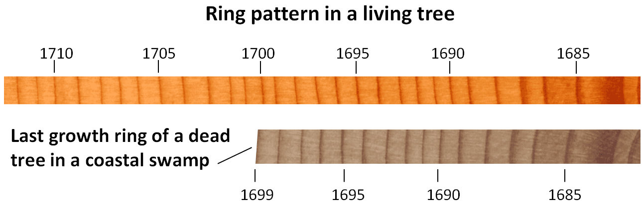 Principles of dendrochronology, 8.5 Other Dating Methods – Physical Geology