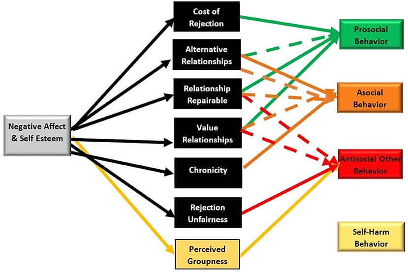 Desensitization and Short-Term Effects, Frontiers | When Does Rejection Trigger Aggression? A Test of the Multimotive Model