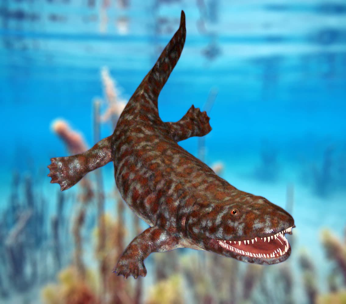 Devonian tetrapods, File:Ichthyostega model.jpg - Wikipedia