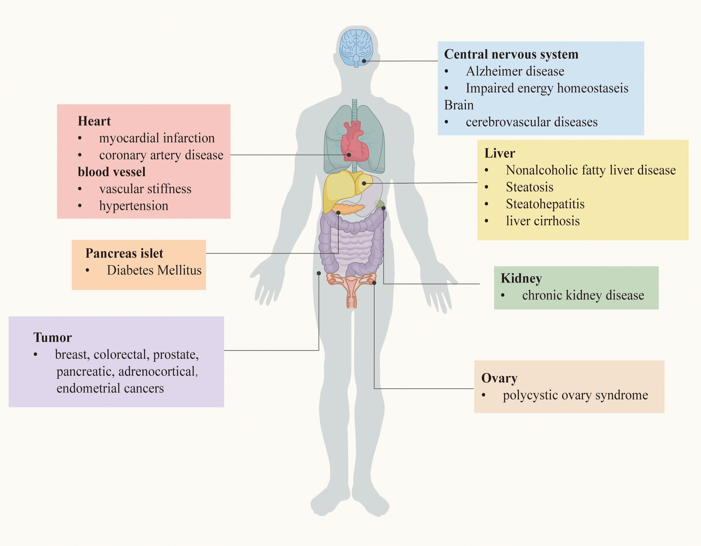 Diabetes Mellitus and Obesity, Frontiers | The crucial role and mechanism of insulin resistance in metabolic disease