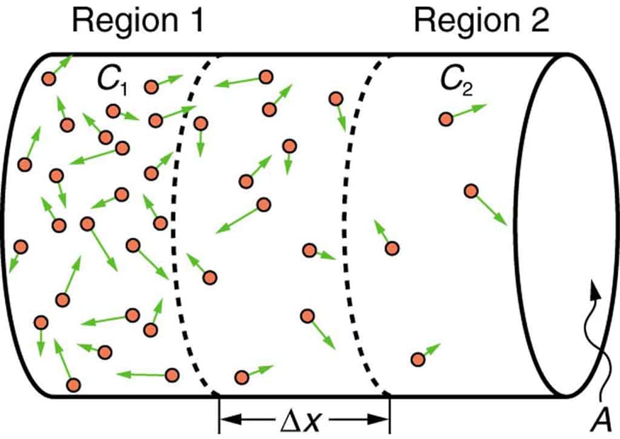 Diffusion vs convection, Molecular Transport Phenomena: Diffusion, Osmosis, and Related Processes | Physics