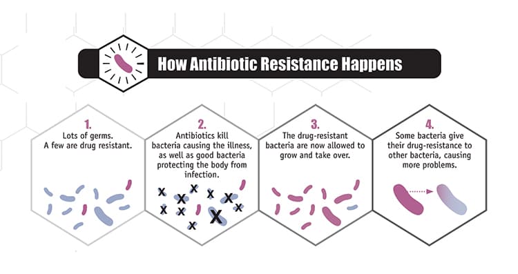 Drug resistance and antimicrobial effectiveness, Antibiotic Resistance | Biology for Non-Majors II