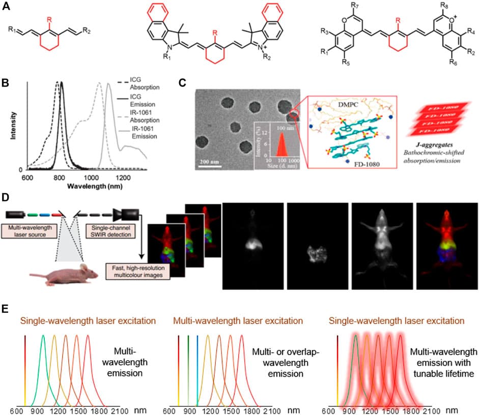 Dye-based vs pigment-based, Frontiers | Near-Infrared-II Cyanine/Polymethine Dyes, Current State and Perspective