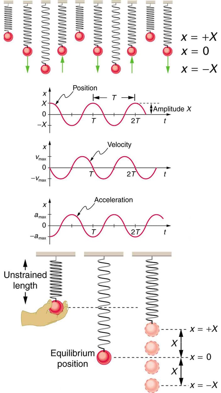 Principles and Functionality, Simple Harmonic Motion: A Special Periodic Motion – Fundamentals of Heat, Light & Sound
