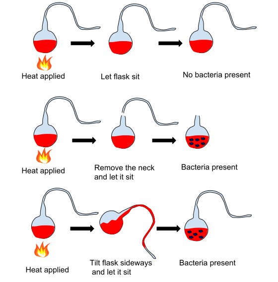Early Theories and Germ Theory, Germ theory of disease - Wikipedia
