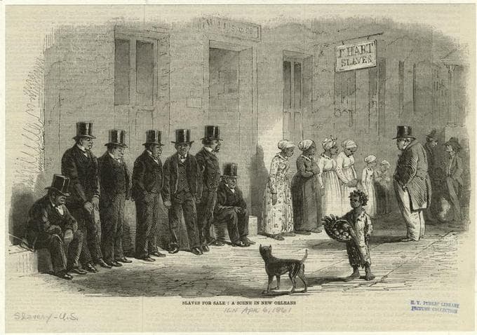 Economic disparities in antebellum South, The Antebellum South | Boundless US History
