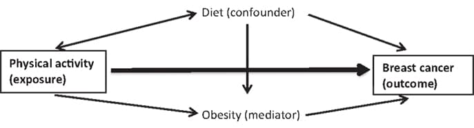 Effect modification vs confounding, Frontiers | Challenges in Epidemiological and Statistical Evaluations of Effect Modifiers and ...