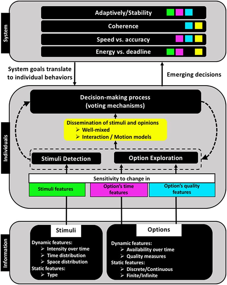 Effects of group size on interactions, Frontiers | The Neglected Pieces of Designing Collective Decision-Making Processes