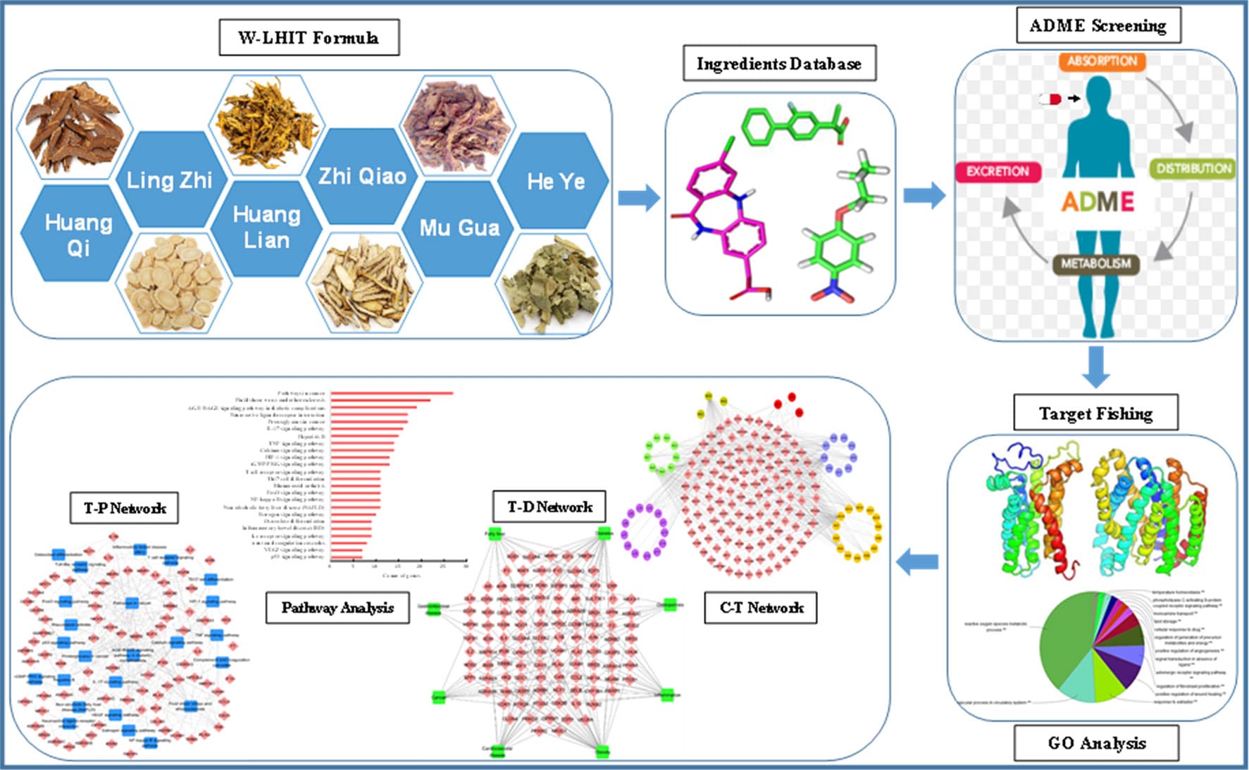 Efficacy and safety of over-the-counter weight loss supplements and herbal remedies, Frontiers | Systems Pharmacology-Based Method to Assess the Mechanism of Action of Weight-Loss ...
