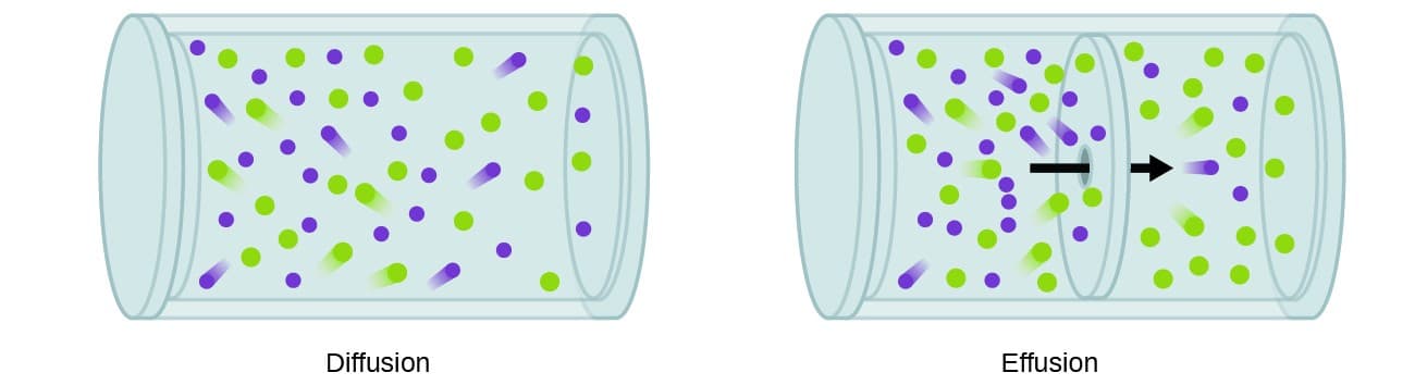 Effusion and diffusion processes, Effusion and Diffusion of Gases | Chemistry I