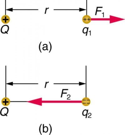 Electric Field Concept and Definition, Electric Field: Concept of a Field Revisited | Physics