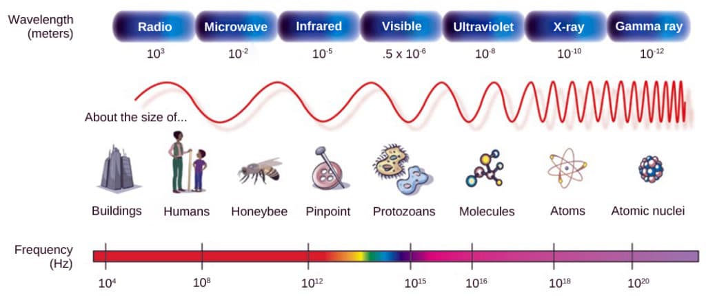 Bands of electromagnetic spectrum, Vision | Biology I