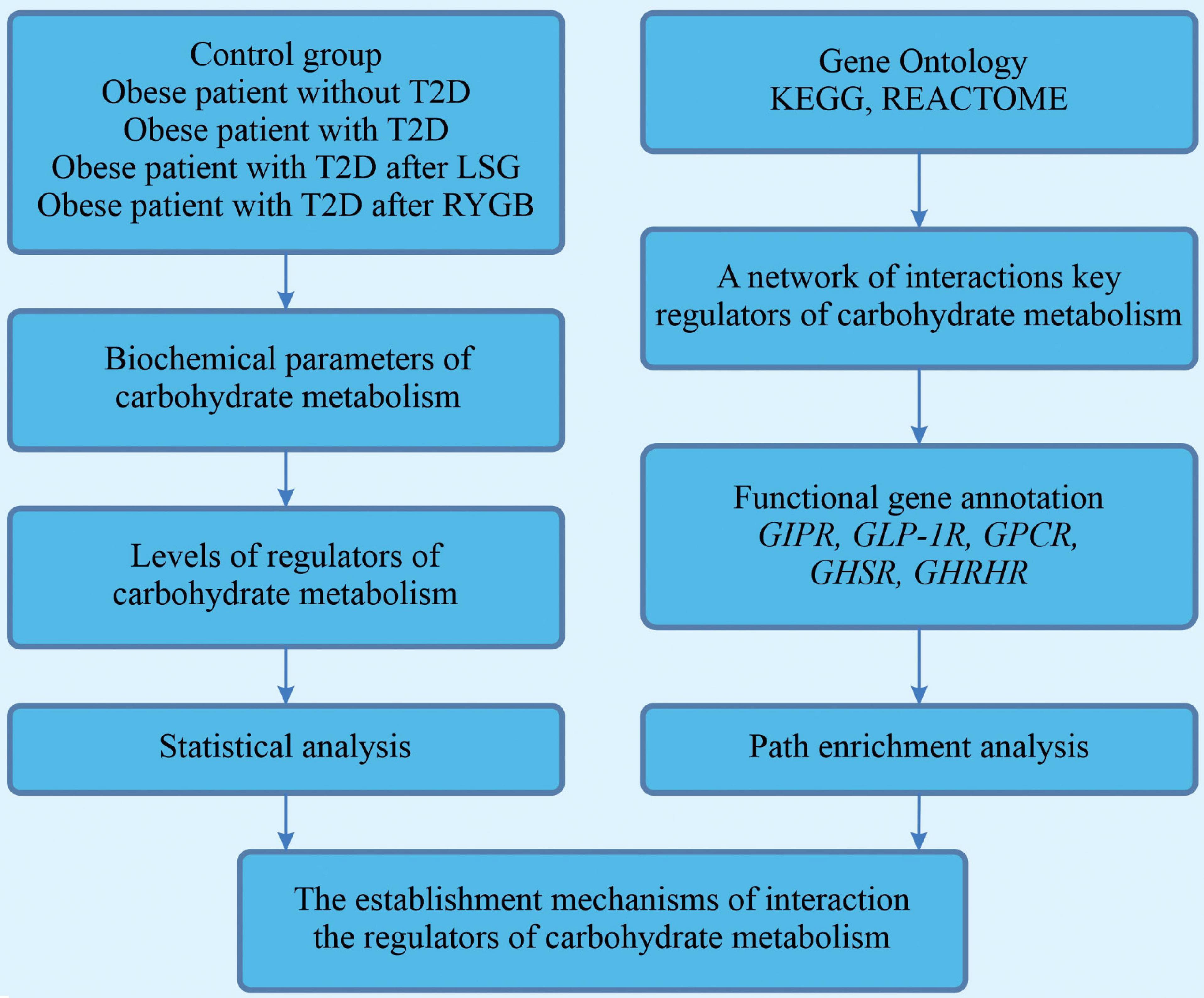 Energy balance, hormones, and genetics in obesity, Frontiers | The Links of Ghrelin to Incretins, Insulin, Glucagon, and Leptin After Bariatric Surgery