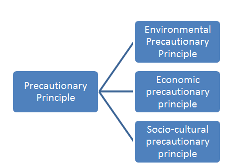 Fundamental Concepts, Precautionary principle: It’s relevance in the National Resource Efficiency Policy ...