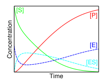 Reaction Rate and Steady-State Kinetics, Michaelis–Menten kinetics - Wikipedia