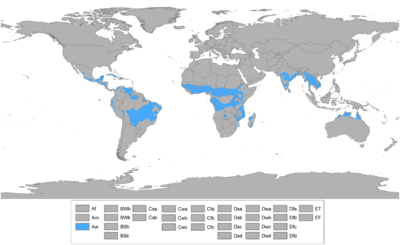 Equatorial and Tropical Climates, Tropical savanna climate - Wikipedia