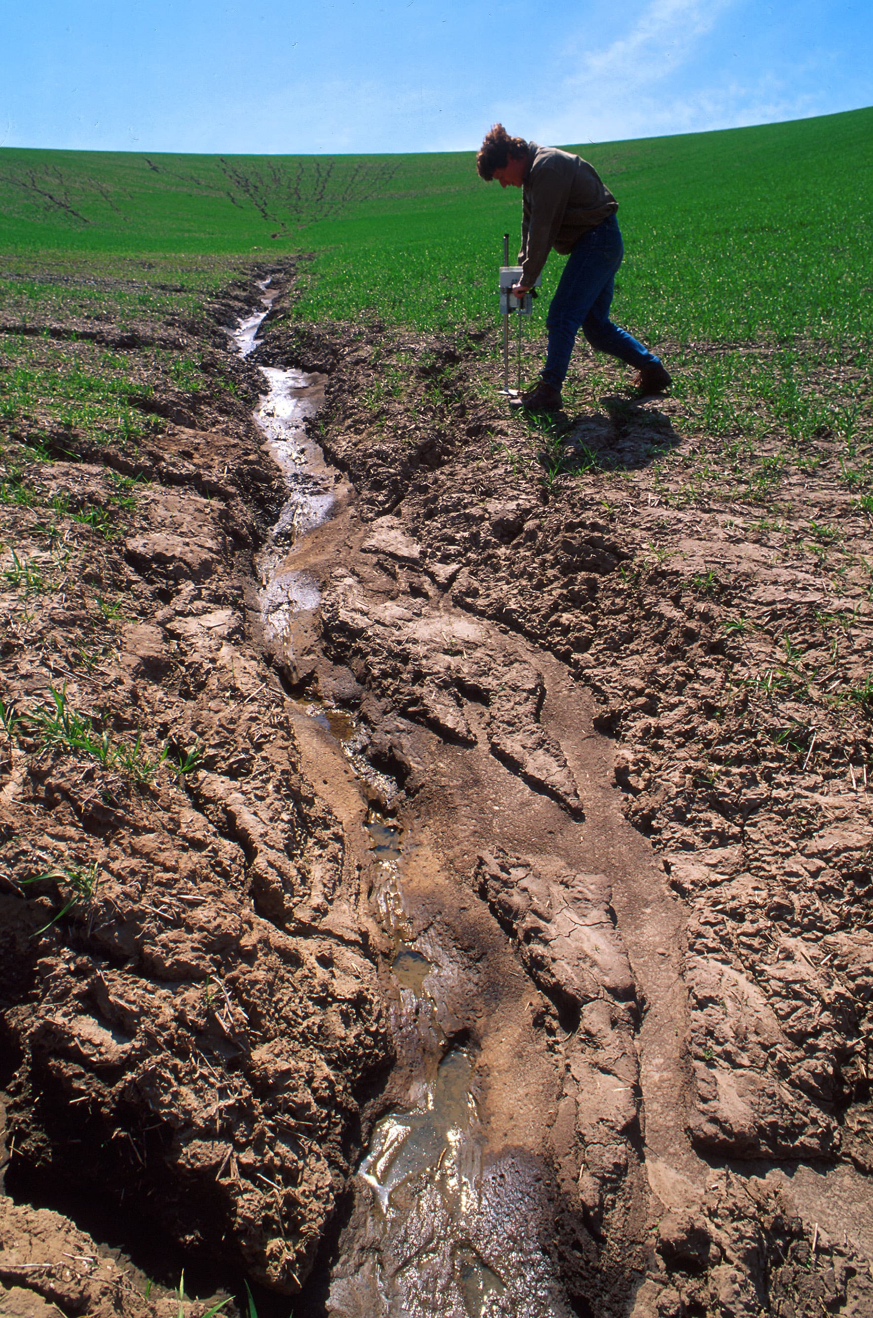 Erosion and Compaction, File:Erosion.jpg - Wikipedia