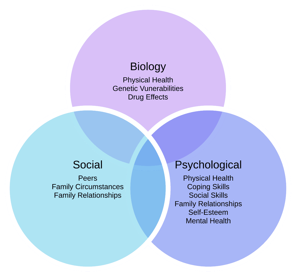 Principles of ethnomedicine vs biomedicine, Biopsychosocial model - Wikipedia