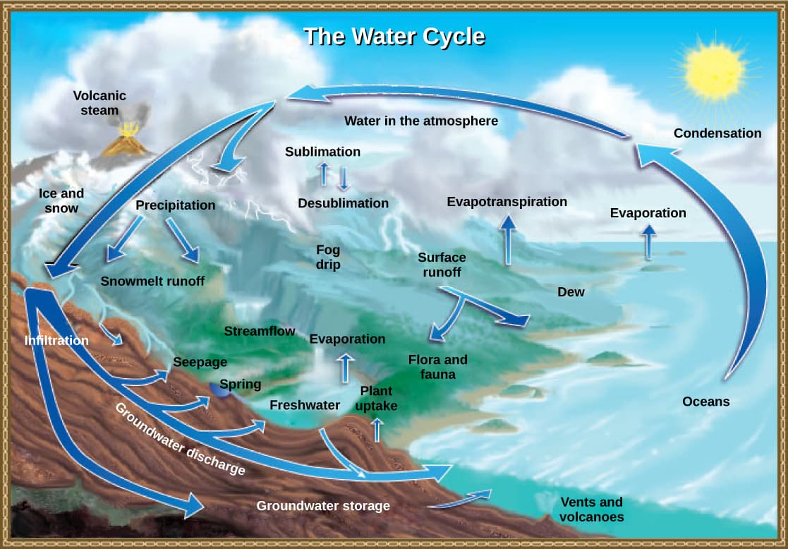 Evaporation and Transpiration, Biogeochemical Cycles · Concepts of Biology