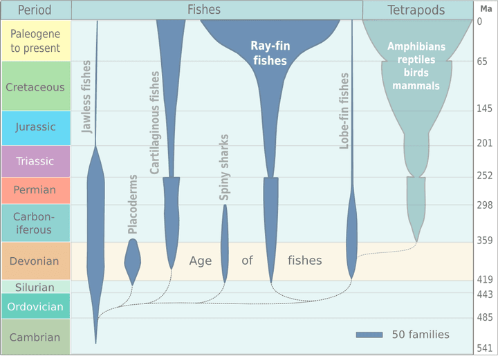 Evolution of marine fishes, Evolution of fish - Wikipedia