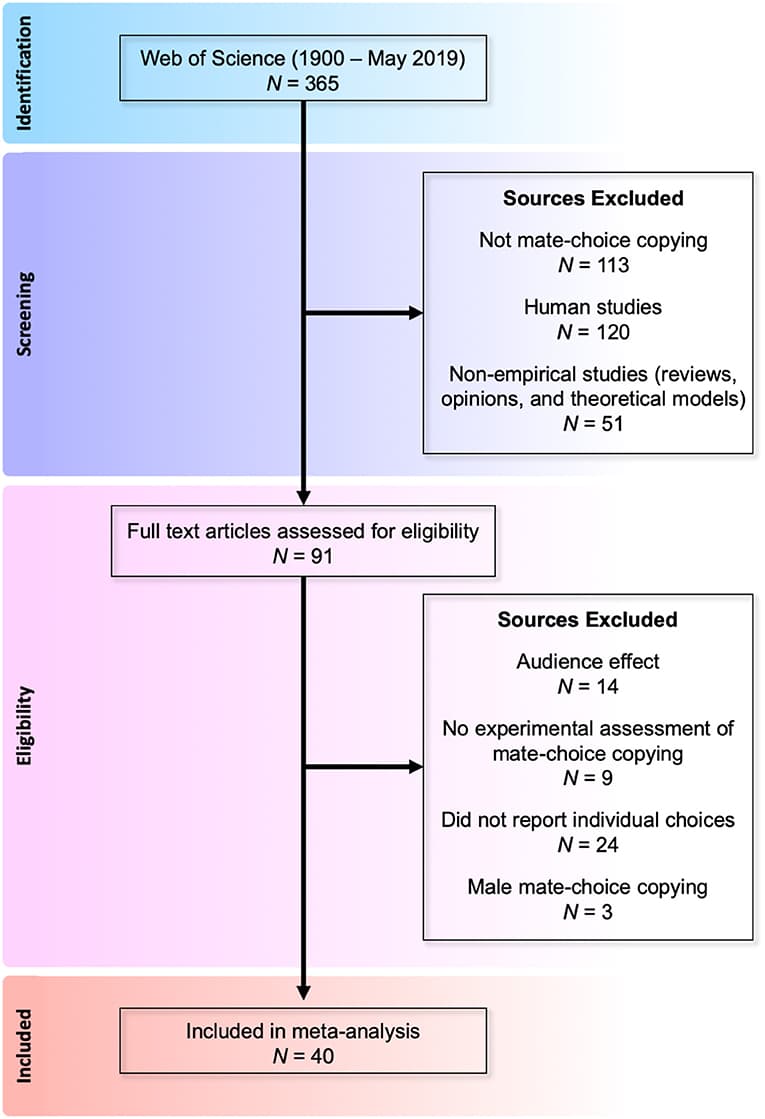 Evolutionary and Social Exchange Perspectives, Frontiers | Mechanisms of Social Influence: A Meta-Analysis of the Effects of Social Information ...