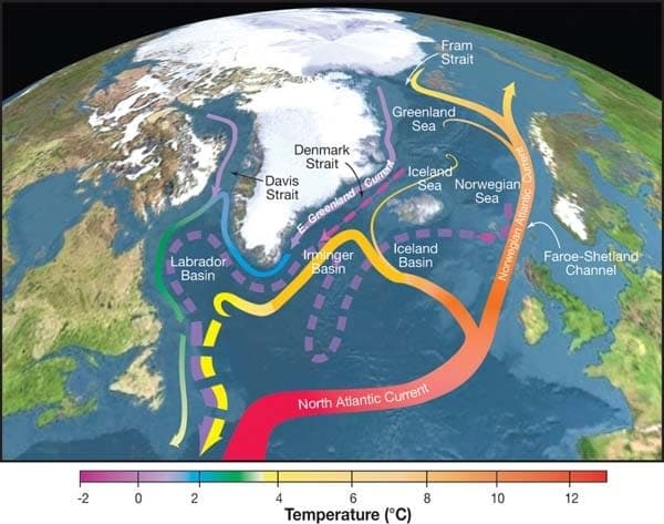 Evolutionary consequences of climate change, What the past can tell us about the future of climate change | Pursuit by The University of ...