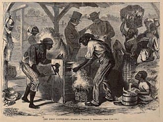 The Expansion of Slavery and the Cotton Industry, Eli Whitney - Wikipedia